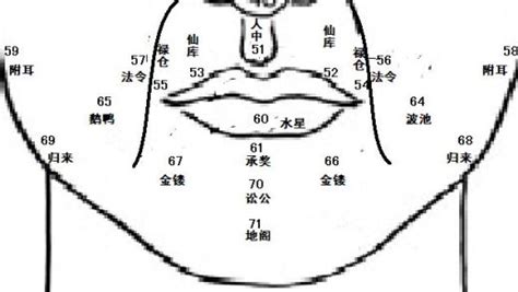 鼻子相|麦玲玲面相讲座之 鼻子 – 人相学